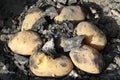 Healthy organic potates cooked in ash