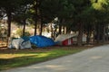 Some homeless tents in forest near road. Sad situation of America