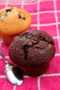 Homemade muffins with chocolate