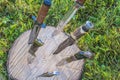 Some hunting knives plainted in the tree stump o Royalty Free Stock Photo