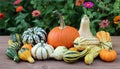 Squash gourd Royalty Free Stock Photo