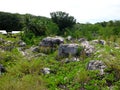 Phosphate rocks in Nauru 3rd smallest country in the world, South Pacific Royalty Free Stock Photo