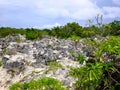 Phosphate rocks in Nauru 3rd smallest country in the world, South Pacific Royalty Free Stock Photo