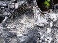 Phosphate rocks in Nauru 3rd smallest country in the world, South Pacific Royalty Free Stock Photo