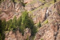 Some larches on impervious mountain wall Royalty Free Stock Photo