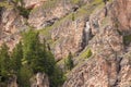 Some larches on impervious mountain wall Royalty Free Stock Photo