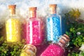 Some little glass bottles with dreams in the spring forest. Royalty Free Stock Photo