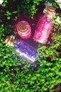 Some little glass bottles with dreams in the spring forest. Royalty Free Stock Photo