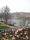 Some Love Locks hanging on the Post des Arts, Paris