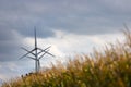 Modern wind turbines and a corn field Royalty Free Stock Photo