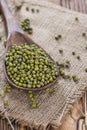 Some Mung Beans Royalty Free Stock Photo