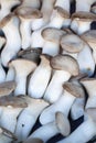 Some mushrooms at street market