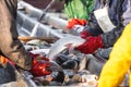 Fishermen in production with their hands pick and sort fish