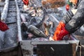 Fishermen in production with their hands pick and sort fish