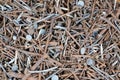 Some old rusty steel and used metal nails closeup in flat lay background Royalty Free Stock Photo