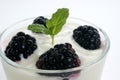 Some organic blackberries in natural yoghurt Royalty Free Stock Photo