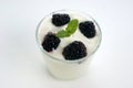 Some organic blackberries in natural yoghurt Royalty Free Stock Photo