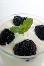Some organic blackberries in natural yoghurt Royalty Free Stock Photo