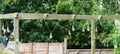 Some outdoor light bulbs hanging from a garden shelter