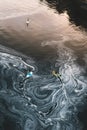 Some paddle boarders enjoy the polluted waters of the Willamette River below the falls