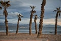 Some palm trees at sunrise on the beach. San Juan beach Alicante Spain