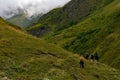 some people are hiking in the mountains, and some of them are carrying backpacks