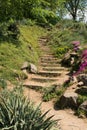 Some picturesque stairs among flower