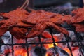 Tasty spicy stick meat or Nigerian suya on a hot grill