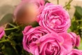 Some pink roses