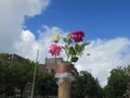 Plastic flowers in a plastic pot on the stem of a tree against the blue sky Royalty Free Stock Photo