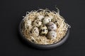 Some quail eggs in a black ceramic bowl Royalty Free Stock Photo