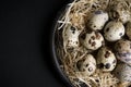 Some quail eggs in a black ceramic bowl Royalty Free Stock Photo