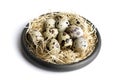 Some quail eggs in a black ceramic bowl Royalty Free Stock Photo