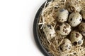 Some quail eggs in a black ceramic bowl Royalty Free Stock Photo