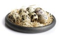 Some quail eggs in a black ceramic bowl Royalty Free Stock Photo
