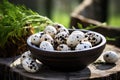 Some quail eggs in an outdoor setting ai created