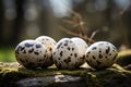 Some quail eggs in an outdoor setting ai created