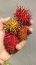 Some rambutan fruit, tropical red and yellow