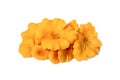 Some raw edible chanterelles on white Royalty Free Stock Photo