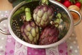 Purple artichoke