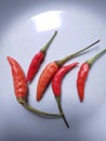 these are some red chilies.