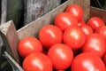 Some red tomatoes in wooden box Royalty Free Stock Photo