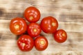 Some red tomatos in group Royalty Free Stock Photo