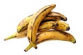 Some ripe banana plantain