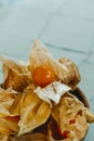 Ripe groundcherries in a wooden plate