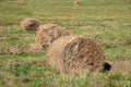 Rolled haystacks placed inline on the field on hot sunny summer day close up view