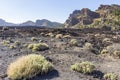 Some Rough scrub and grasses grow scattered throughout the rugged lava landscape around the volcano El Teide on the island of Tene