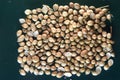 Some Sack Whole Coriander Seeds