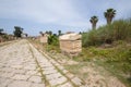 Some sarcophagi along the Byzantine road. Al-Bass Tyre necropolis. Roman remains in Tyre. Tyre is an ancient Phoenician city. Tyre