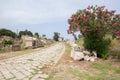 Some sarcophagi along the Byzantine road. Al-Bass Tyre necropolis. Roman remains in Tyre. Tyre is an ancient Phoenician city. Tyre Royalty Free Stock Photo